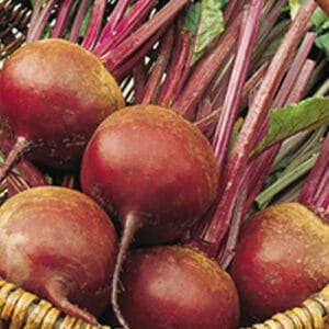 beetroot