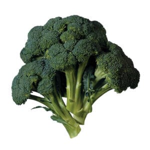 Organic Broccoli Head