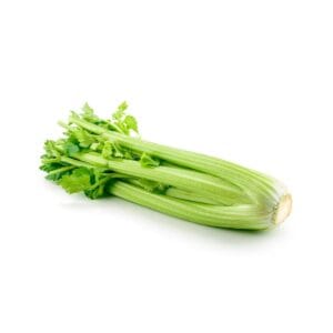 CELERY_large_1000x1000 CELERY_large_1000x1000