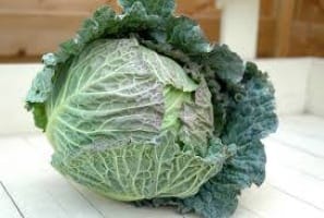 Cabbage Tundra