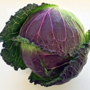 January King Cabbage