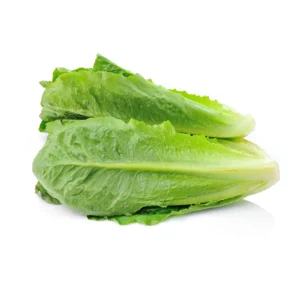cos_lettuce cos_lettuce