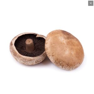 mushroom_portebello mushroom_portebello