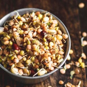 sprouted_mixedbeans sprouted_mixedbeans