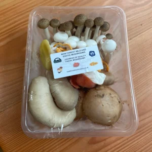 exoticmushrooms_900x900 exoticmushrooms_900x900