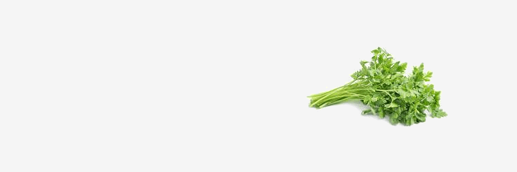 herbsbanner