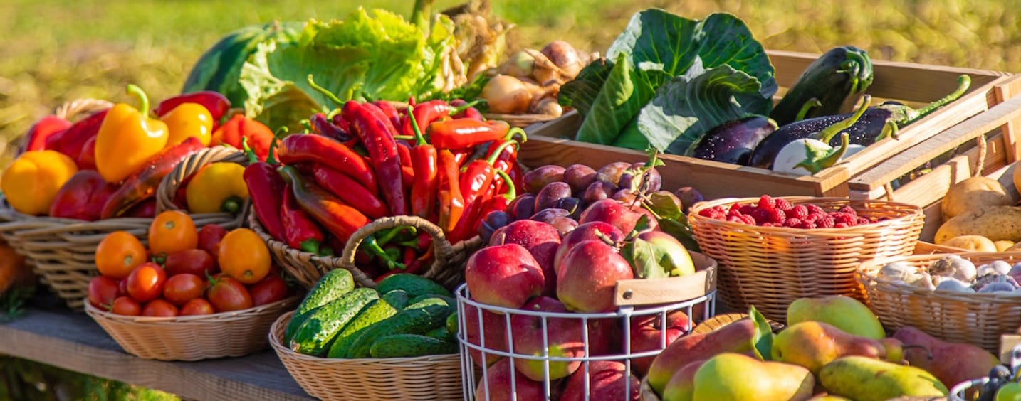 Fruit_banner_1434x564