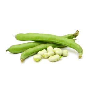 beans_broad beans_broad