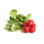 Organic Radish (Bunched)