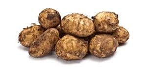 Organic Potatoes New
