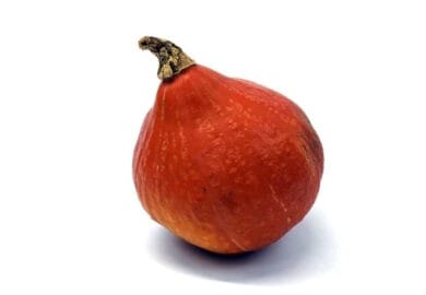 Squash Red Onion