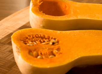 banner_squash