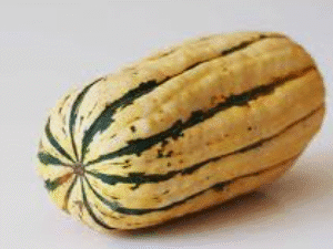Organic Squash Delicata