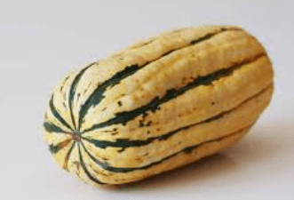 Organic Squash Delicata Organic Squash Delicata