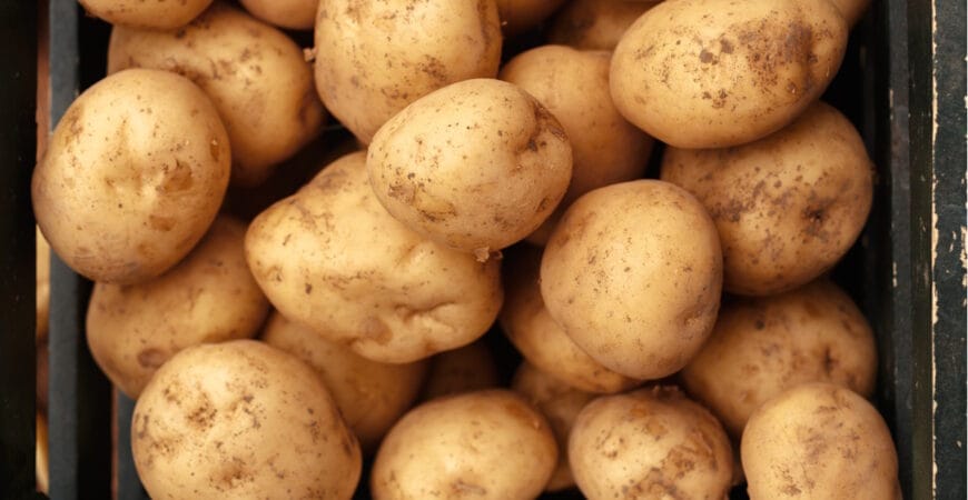 Jersey Royal Potatoes