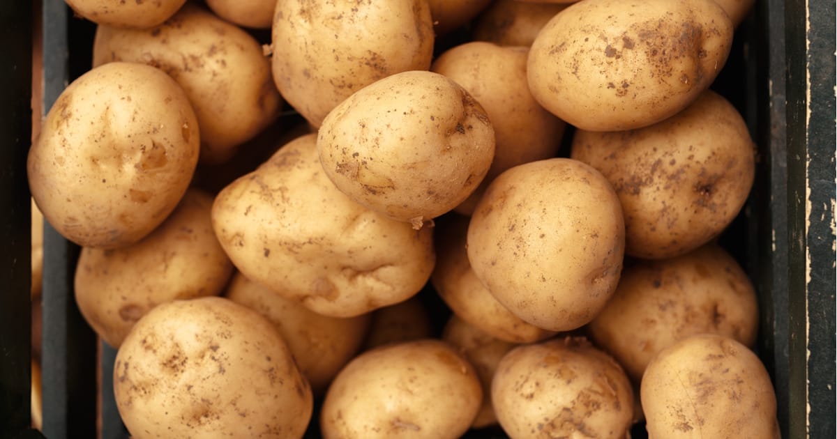 Jersey Royal Potatoes