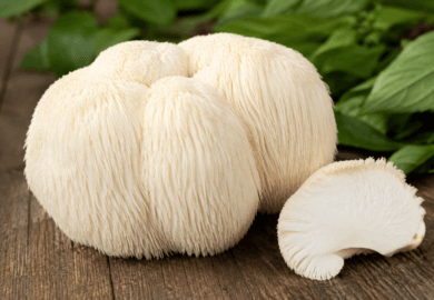 Lions Mane Mushroom