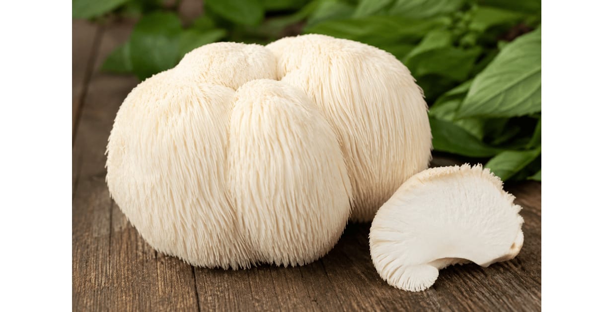 Lions mane