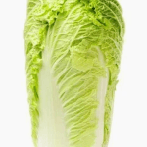 Org Chinese Cabbage Org Chinese Cabbage